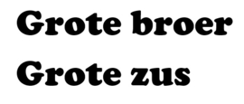Grote broer/ Grote zus