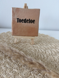 Toedeloe zalmroze