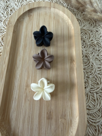 Bloemen set