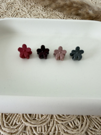 Miniklemmetjes  herfst
