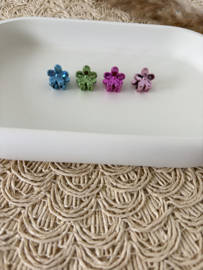 Miniklemmetjes shiny