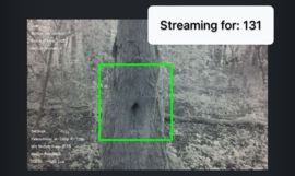 Reflexcamera - startset om direct aan de slag te gaan