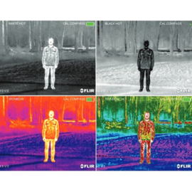 FLIR Scion OTM436 warmtebeeldcamera (36mm, cropfactor)