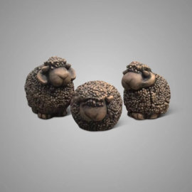 Set van 3 schapen