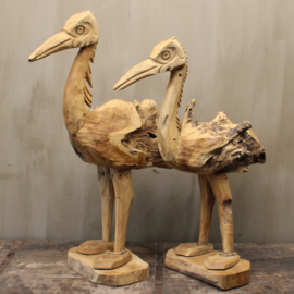 Vogels, drijfhout