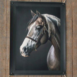 Tuinposter paard met gedrukte lijst