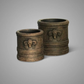 Set van 2 potjes met ramskop