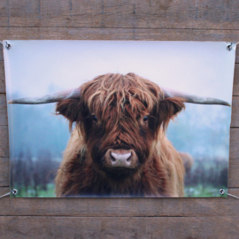 Tuinposter hooglander