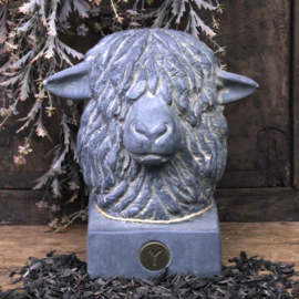 Hoofd schaap