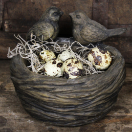 2 vogels op nest