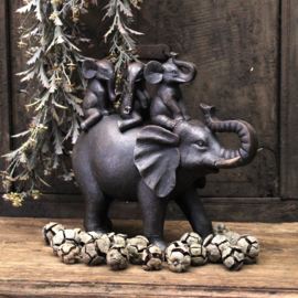 Olifant met 3 kinderen op rug
