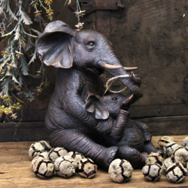 Olifant met kind omarmt