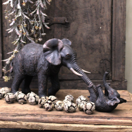 Olifant met baby