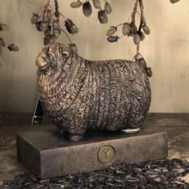 Schaap wol, bruin
