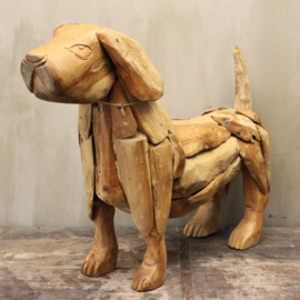 Hond, drijfhout
