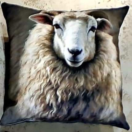 Kussen schaap