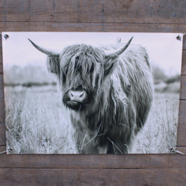 Tuinposter hooglander