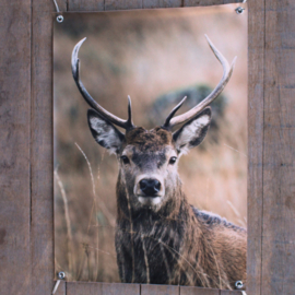 Tuinposter hert