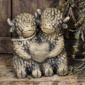 2 hooglanders met hartje