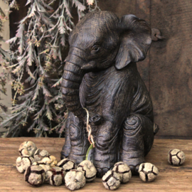 Olifant, zittend