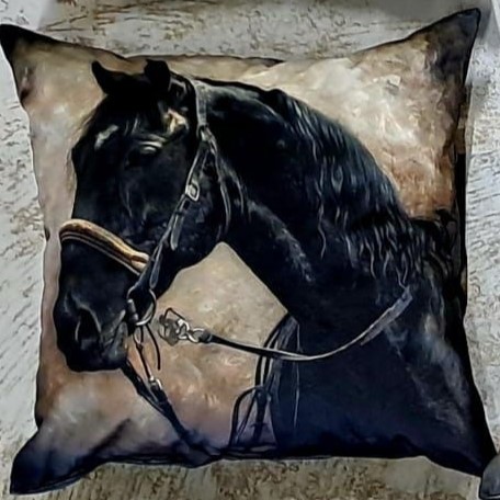 Kussen paard