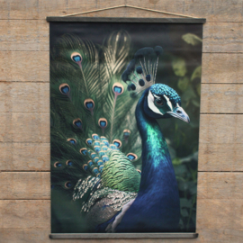 Tuinposter pauw