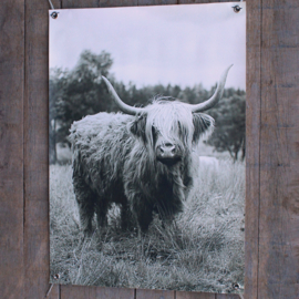 Tuinposter hooglander
