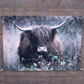 Tuinposter hooglander