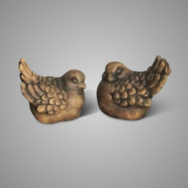 Set van 2 vogels