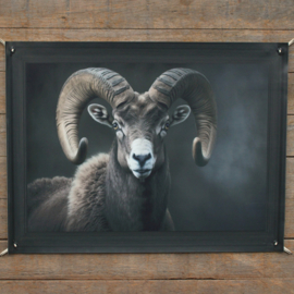 Tuinposter ram met gedrukte lijst