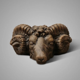Hoofd ram