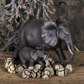 Olifant met jong