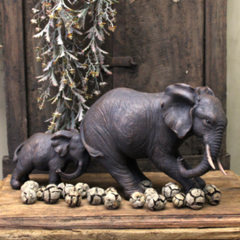 Olifant duwt olifant