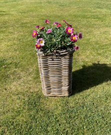 Kleiner quadratischer Blumentopf (24 x 24 x 37 cm)