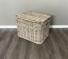 Grote mand met klep (60x45x45cm)
