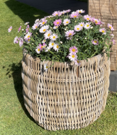 Large, uniquely woven garden basket (50 x 47 cm)