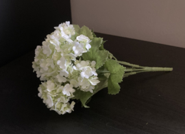 Hortensia wit (1 stuk)