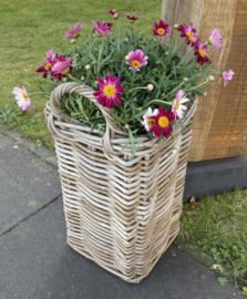 Kleiner quadratischer Blumentopf (24 x 24 x 37 cm)