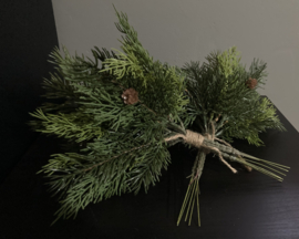 Set mit 2 Tannenzweigen mit Mini-Tannenzapfen