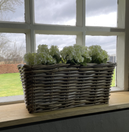 Fensterbankkorb (40 x 18 x 20 cm)
