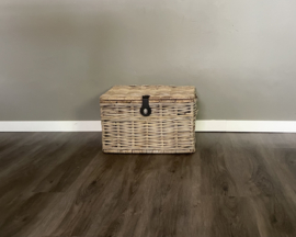 Opbergkoffer (50x40x30cm)