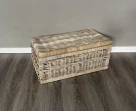Sleek medium-sized storage case (70x38x30cm)