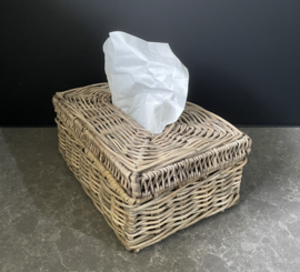 Tissue holder (28 x 17 x 11 cm)