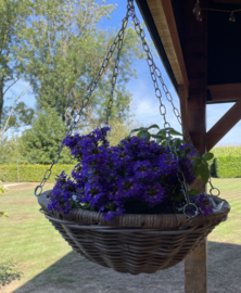 Large hanging basket for plants (50 x 22 cm)