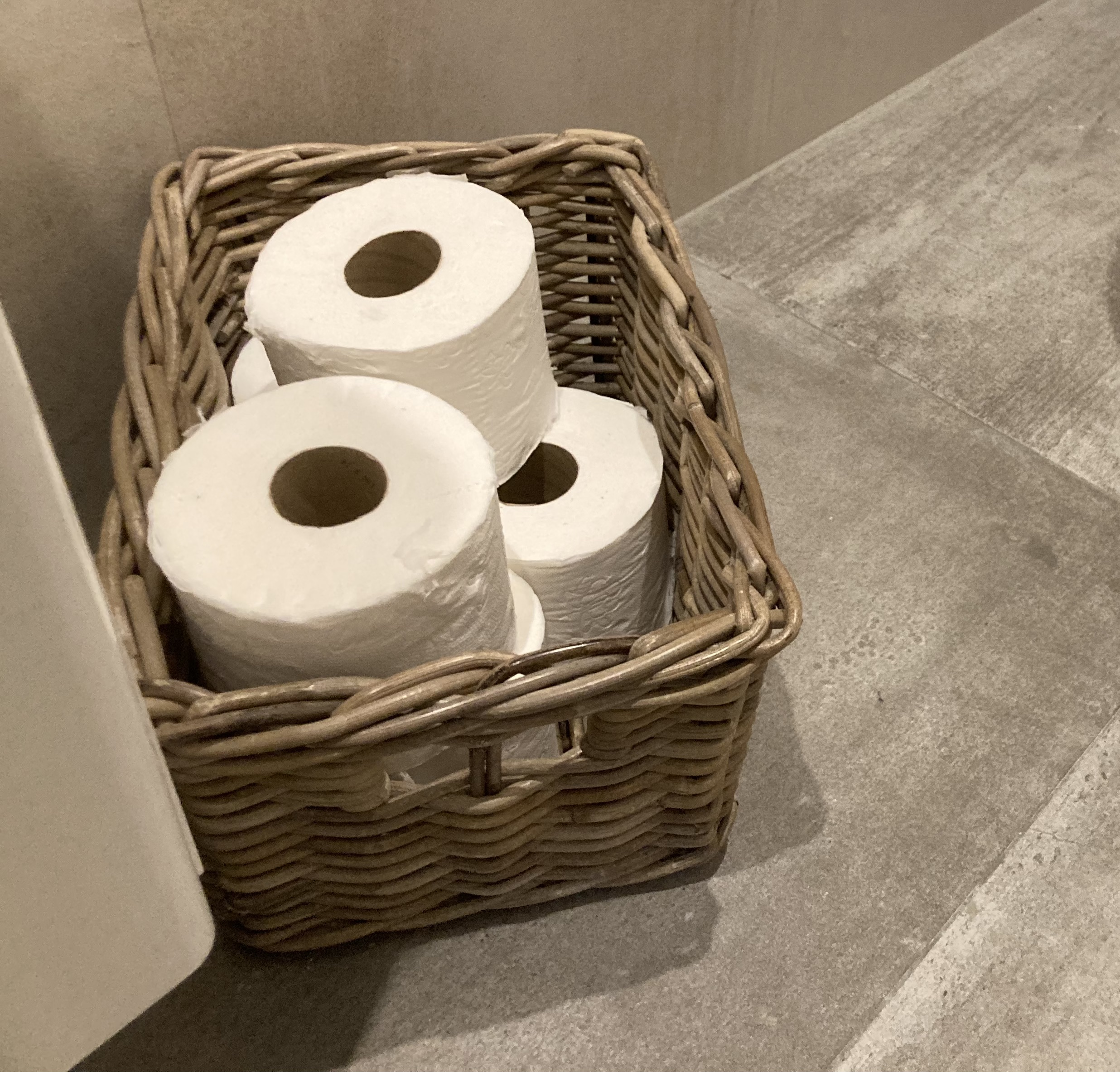 Toilettenpapierkorb (34 x 24 x 20 cm)