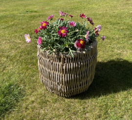 Gartenkorb, besonders geflochten, klein (30 x 27 cm)