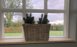 Set mit 2 Tannenzweigen