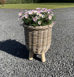 Plantenpot op poten (41x54cm)