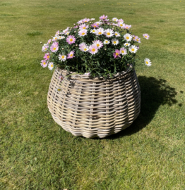 Plantenpot bolvorm groot (58x43cm)