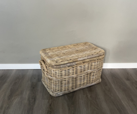 Medium-sized pannier (62x37x38cm)